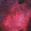 NGC 7000 - mlhovina Severn Amerika v souhvzd Labut